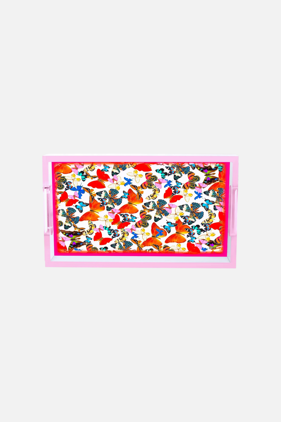 David Stesner Arthouse Garden of Flight Large Tray – back view
