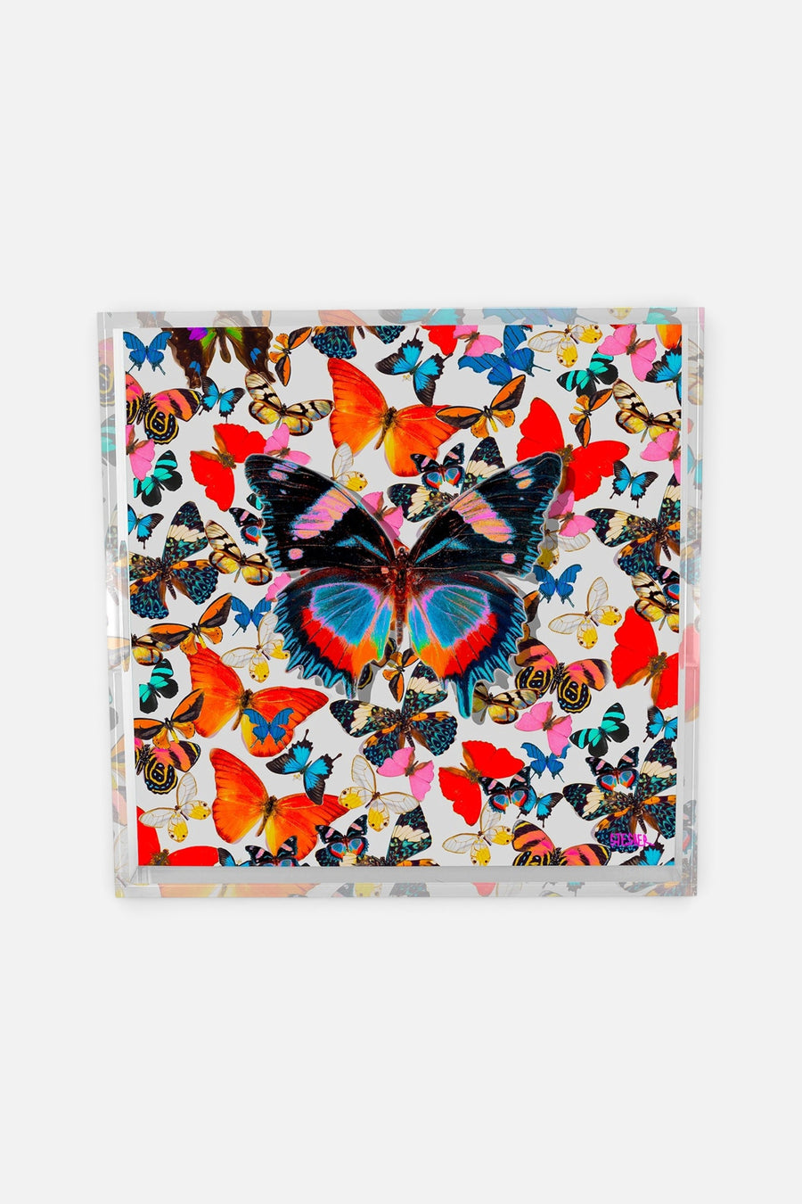 David Stesner Arthouse Matriarch of the Sky Square Acrylic Tray – front view