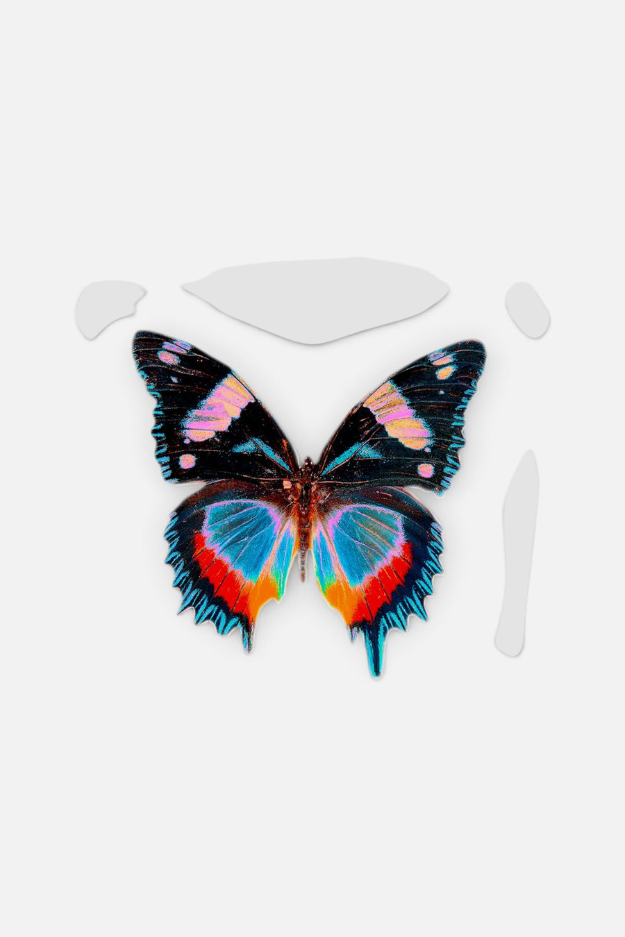 David Stesner Arthouse Pearl Papillon Square Acrylic Tray – front view