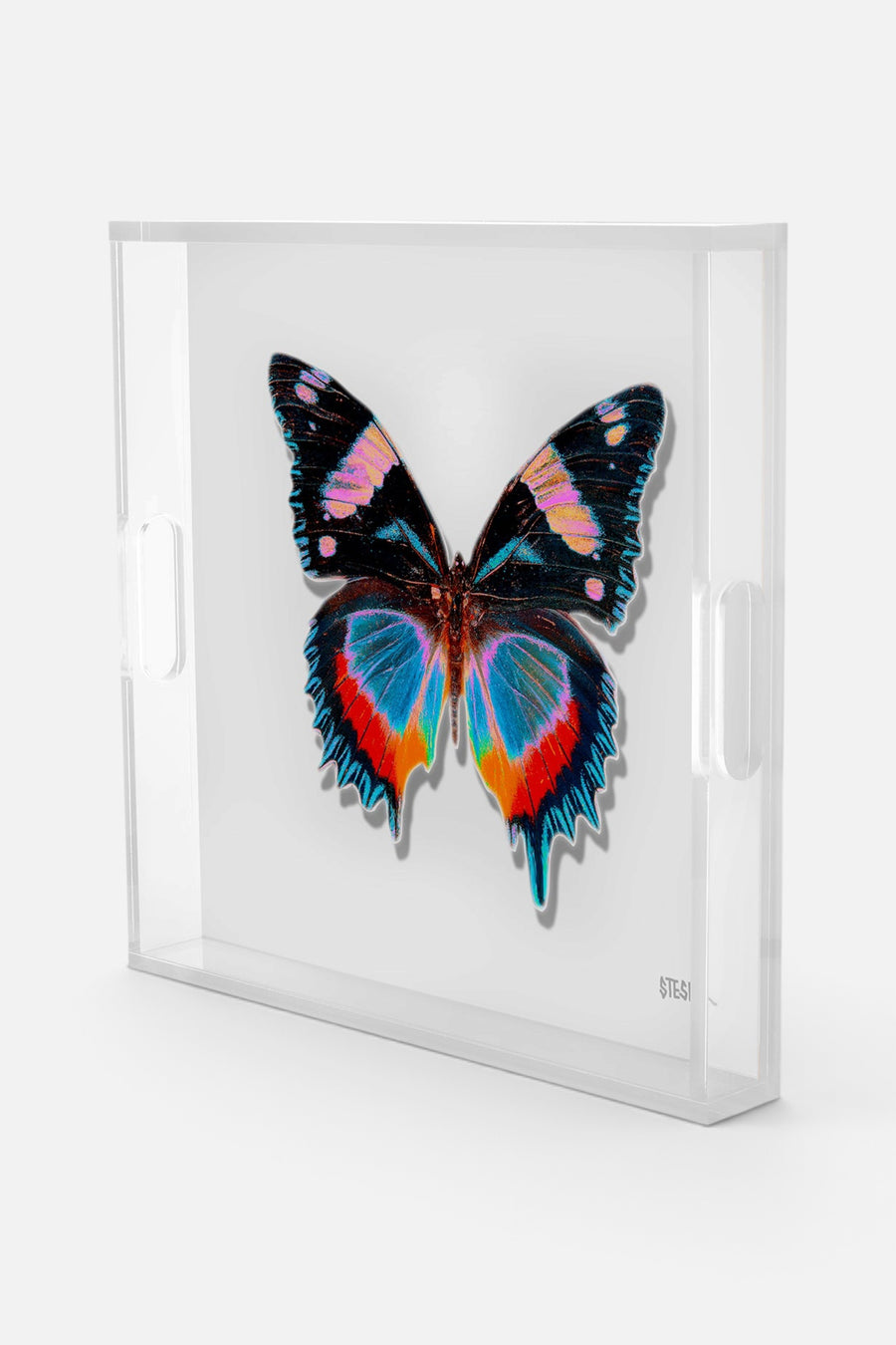 David Stesner Arthouse Pearl Papillon Square Acrylic Tray – side view