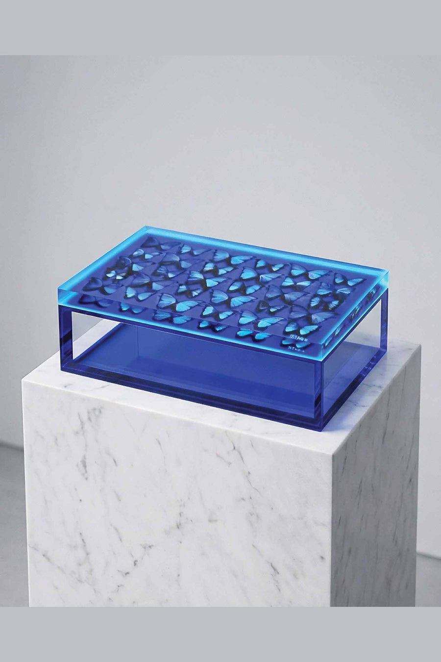 David Stesner Arthouse The Migration Cobalt Blue Keepsake Box – detail