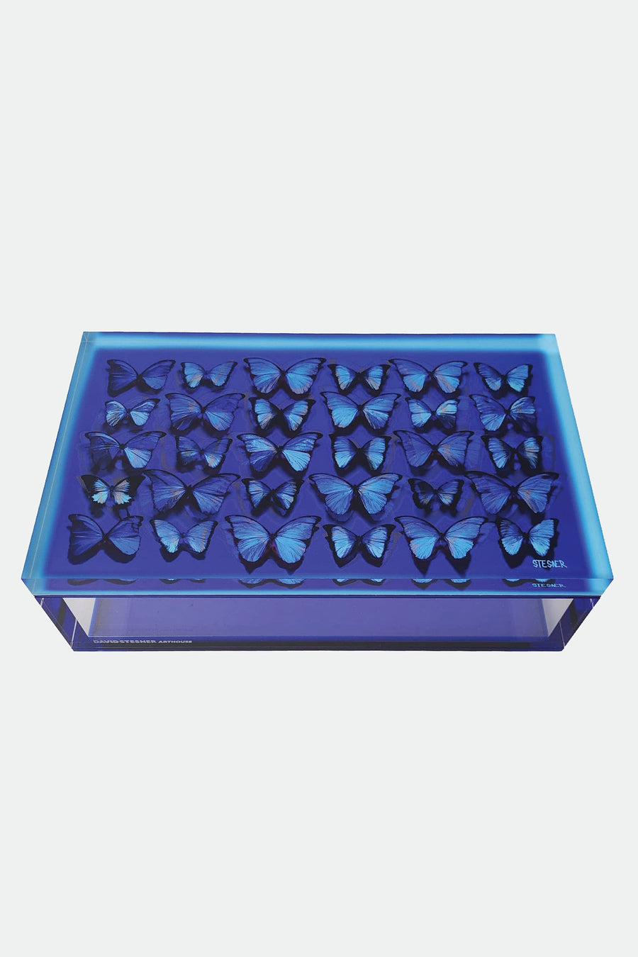 David Stesner Arthouse The Migration Cobalt Blue Keepsake Box – front view
