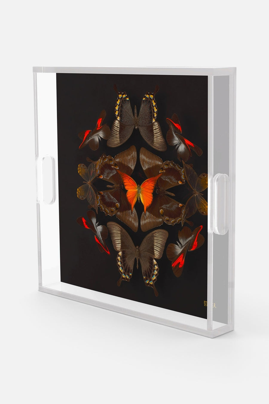 David Stesner Arthouse Troubled Minds Square Acrylic Tray – side view
