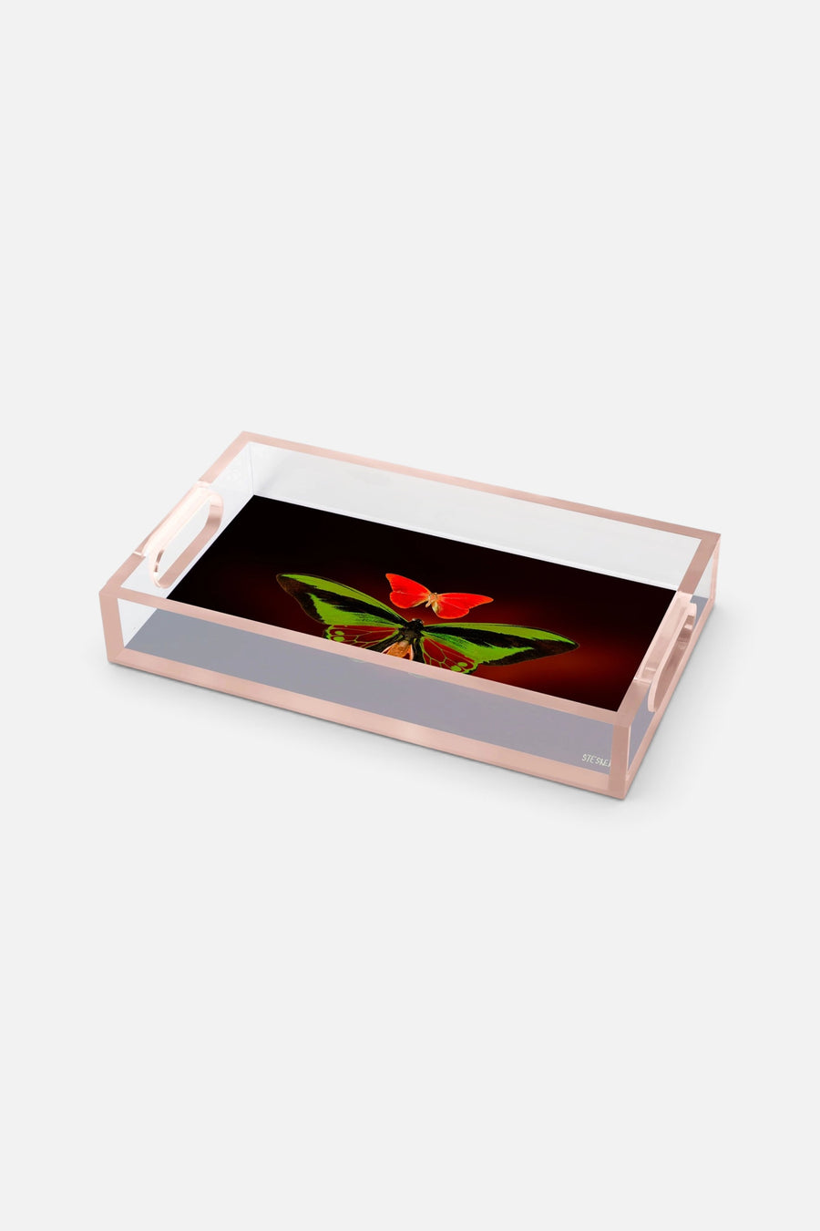 David Stesner Arthouse Twilight Embrace Small Acrylic Tray – flat lay