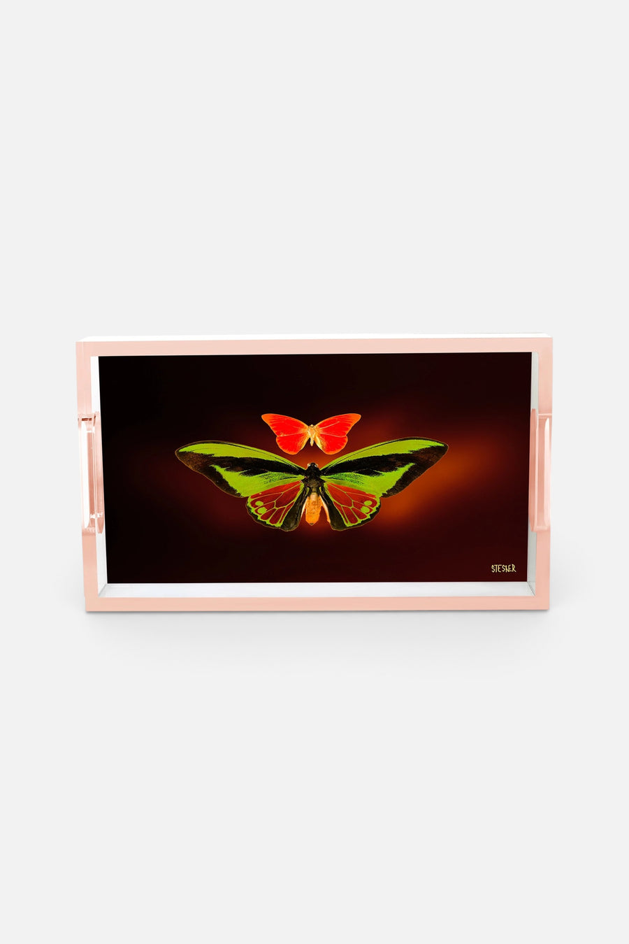 David Stesner Arthouse Twilight Embrace Small Acrylic Tray – front view