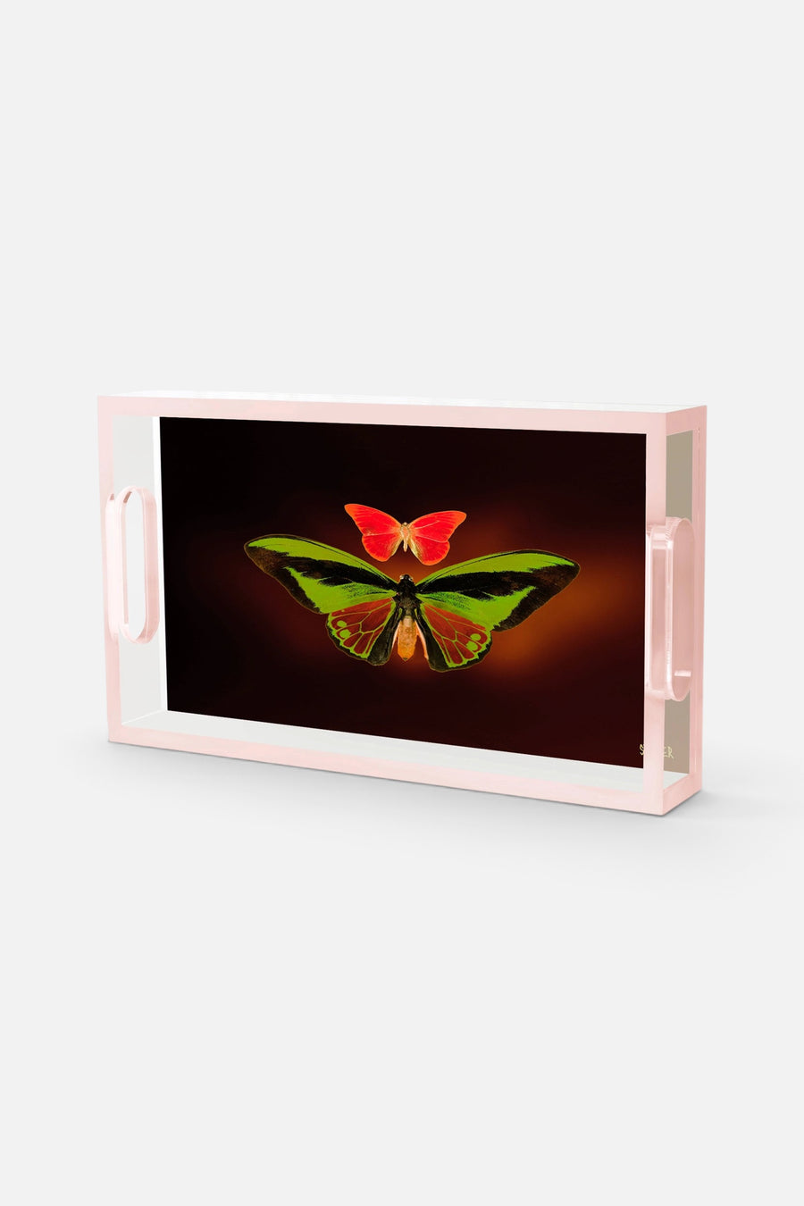 David Stesner Arthouse Twilight Embrace Small Acrylic Tray – side view
