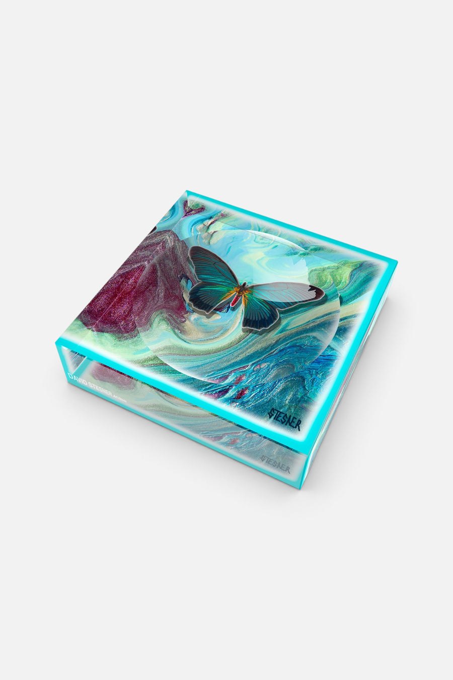 David Stesner Arthouse Wings of the Current Acrylic Trinket Dish – flat lay