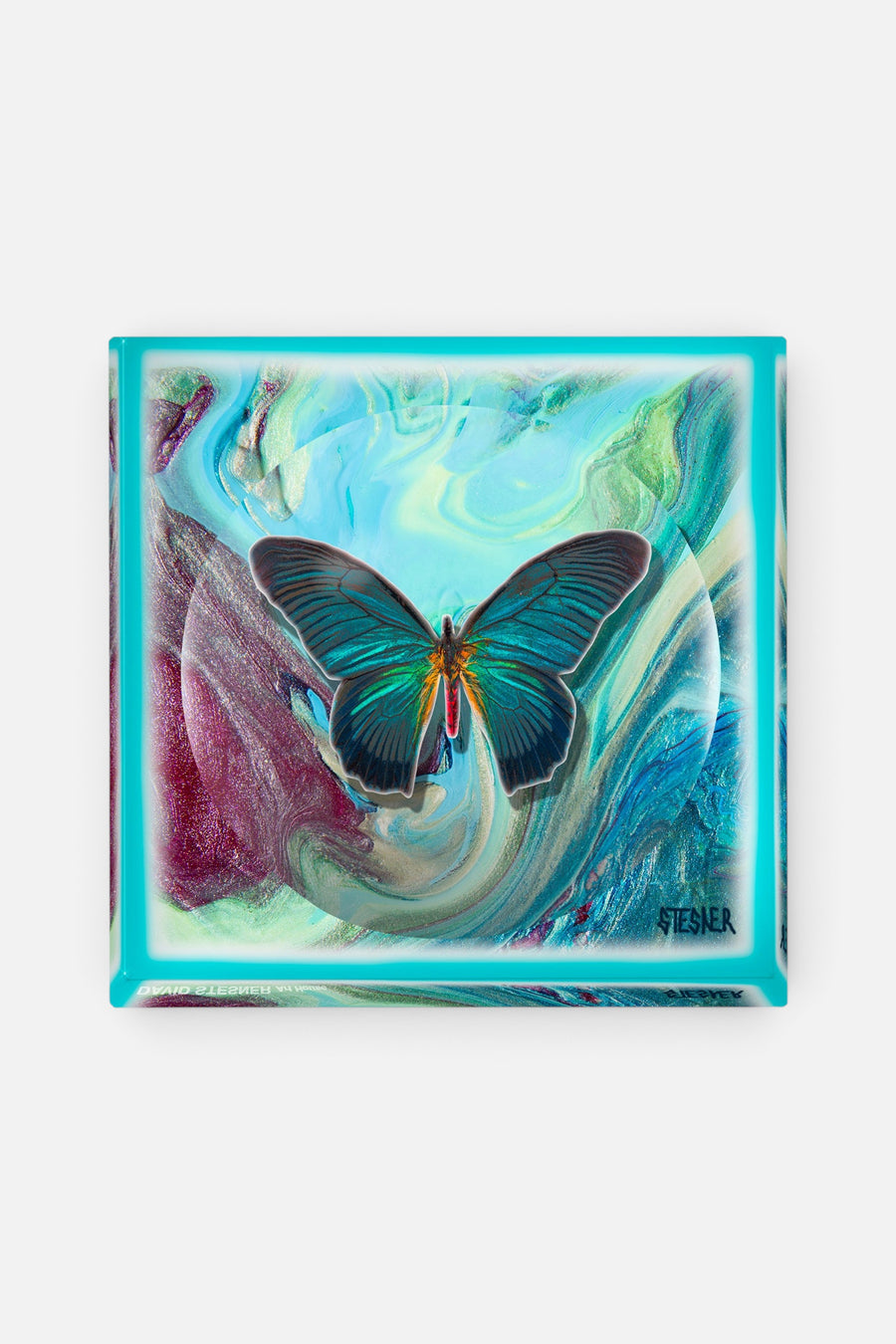 David Stesner Arthouse Wings of the Current Acrylic Trinket Dish – front view