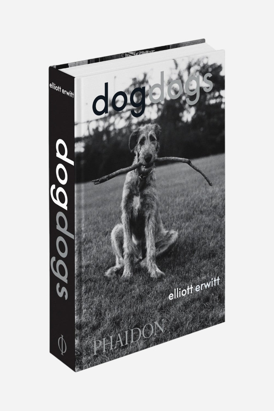 DogDogs – front view