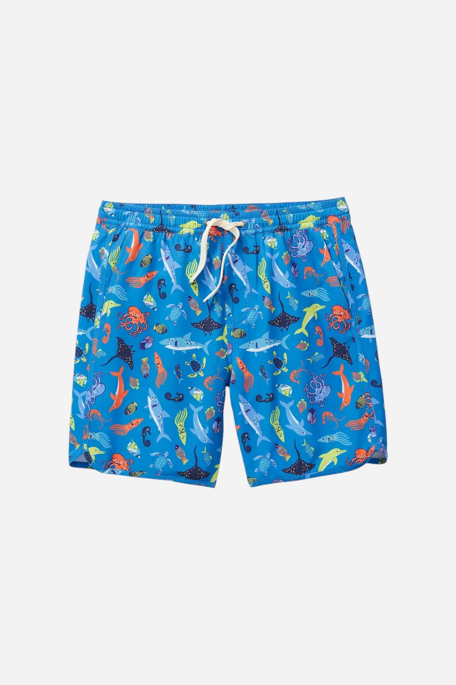 Fair Harbor Kids Anchor in Cobalt Reef – front view