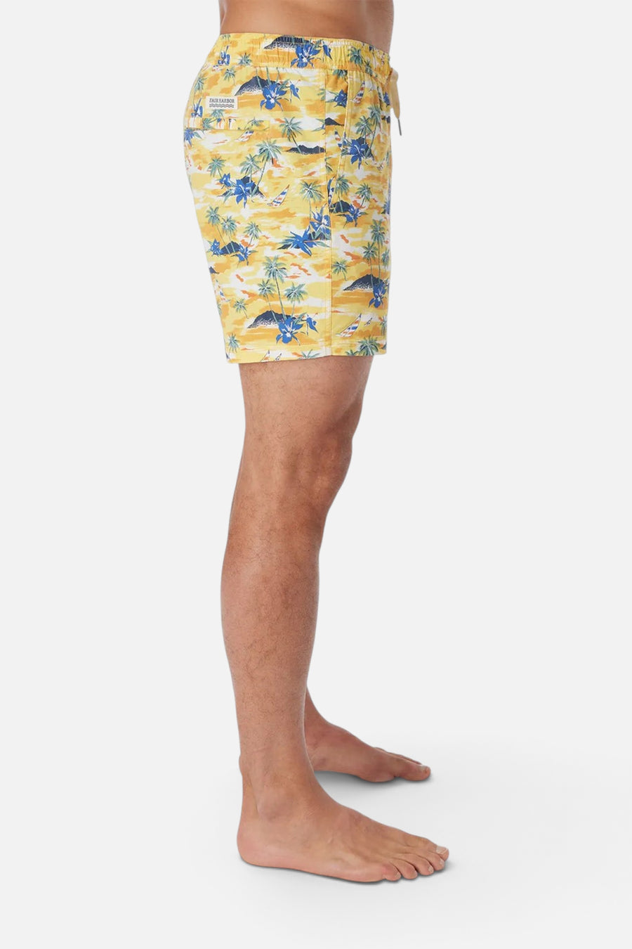 Fair Harbor The Bungalow Swim Trunk in Birds of Paradise Windsail – back view