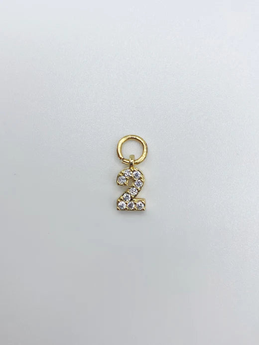 Farrah B Number Charm 6 – alternate