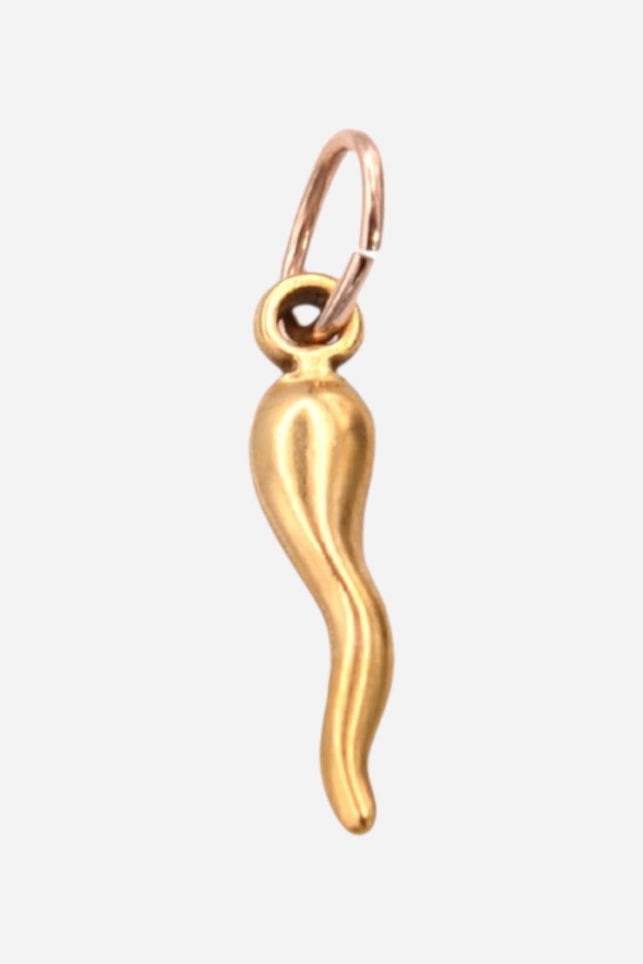 Farrah B Pepper Charm in Gold – front view