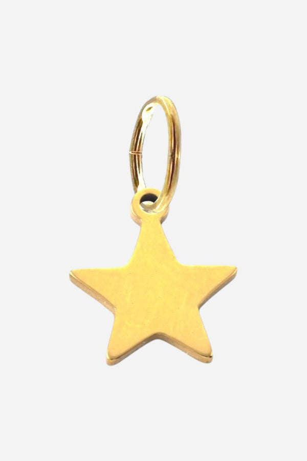 Farrah B Solid Star Charm Gold