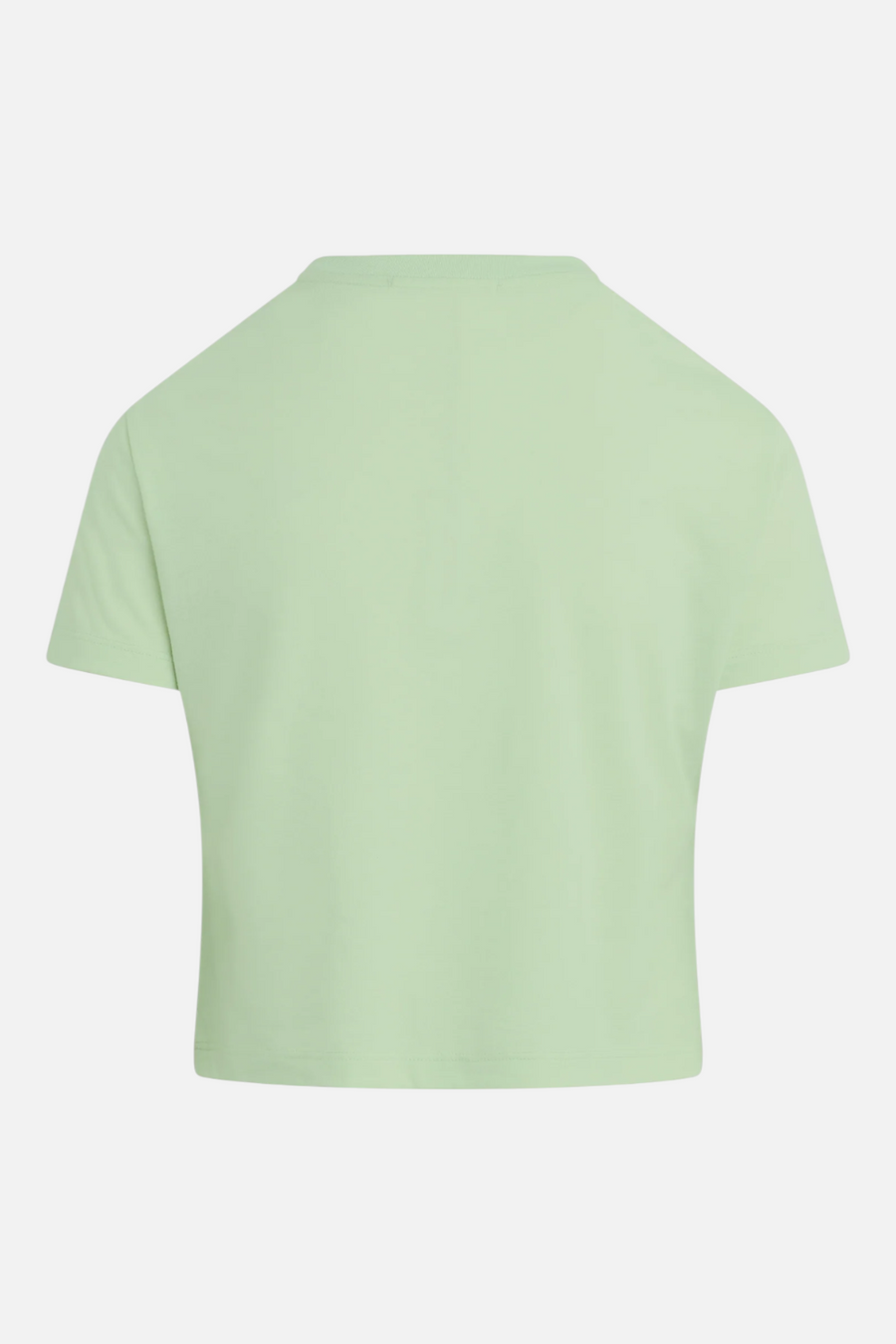 Favorite Daughter Cropped Varsity Tee in Mint – back view