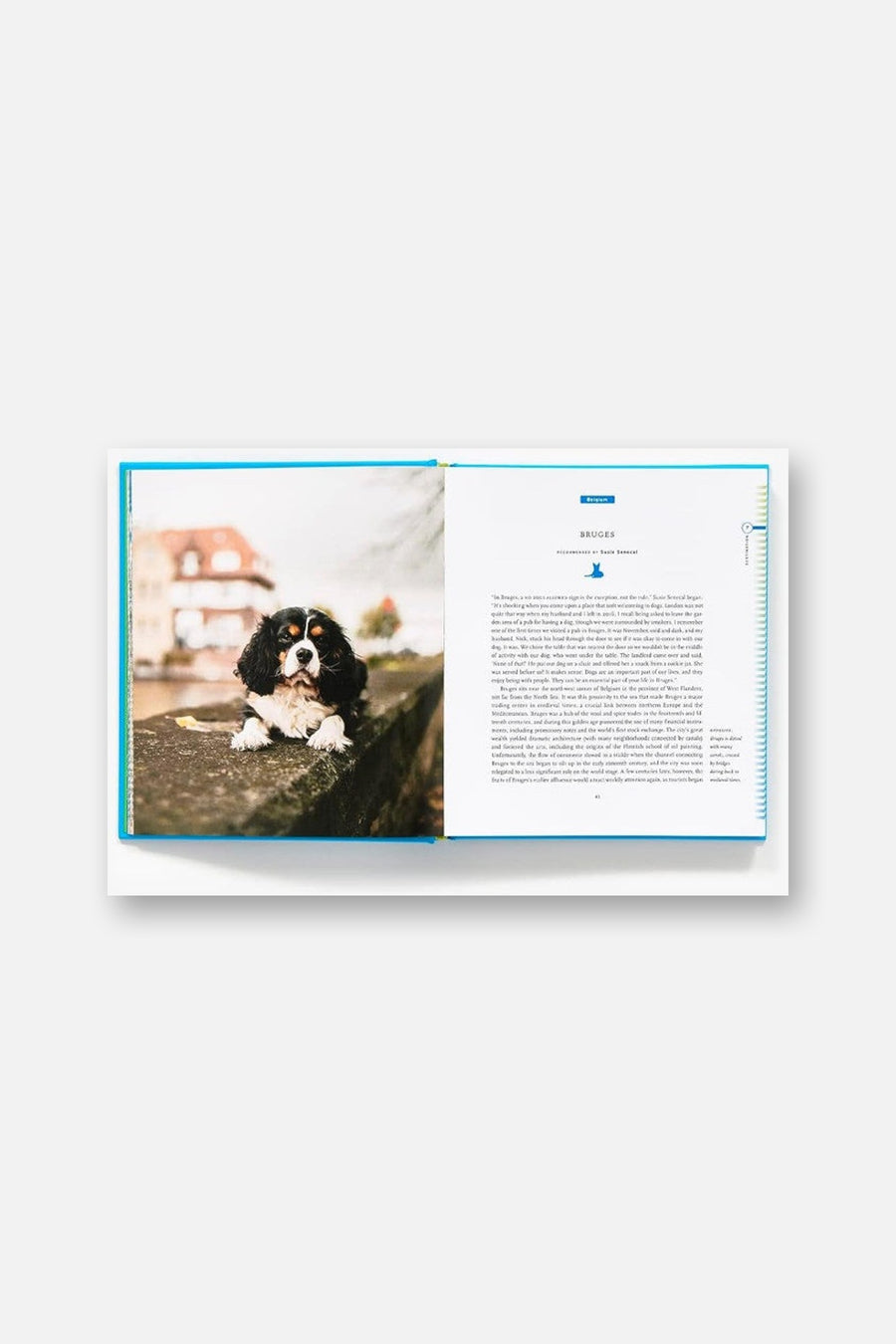 Fifty Places to Travel with Your Dog Before You Die – back view