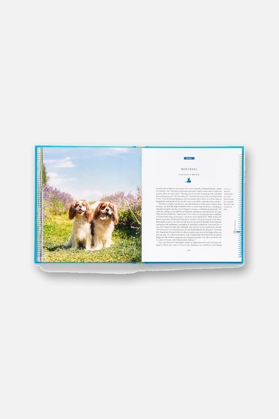 Fifty Places to Travel with Your Dog Before You Die – detail