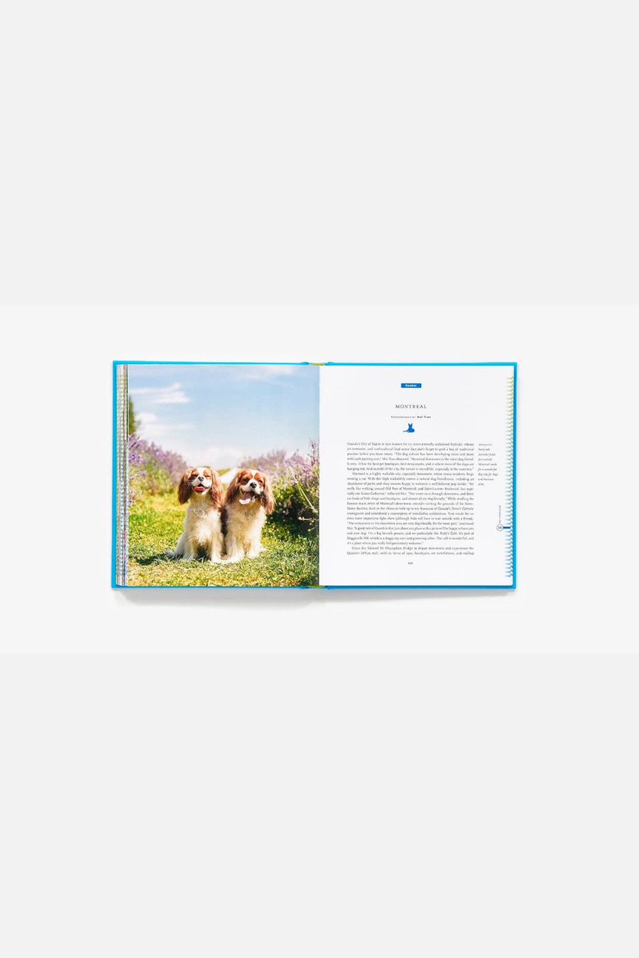 Fifty Places to Travel with Your Dog Before You Die – detail