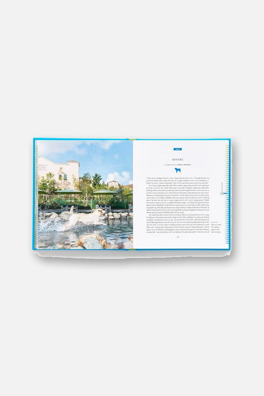 Fifty Places to Travel with Your Dog Before You Die – side view