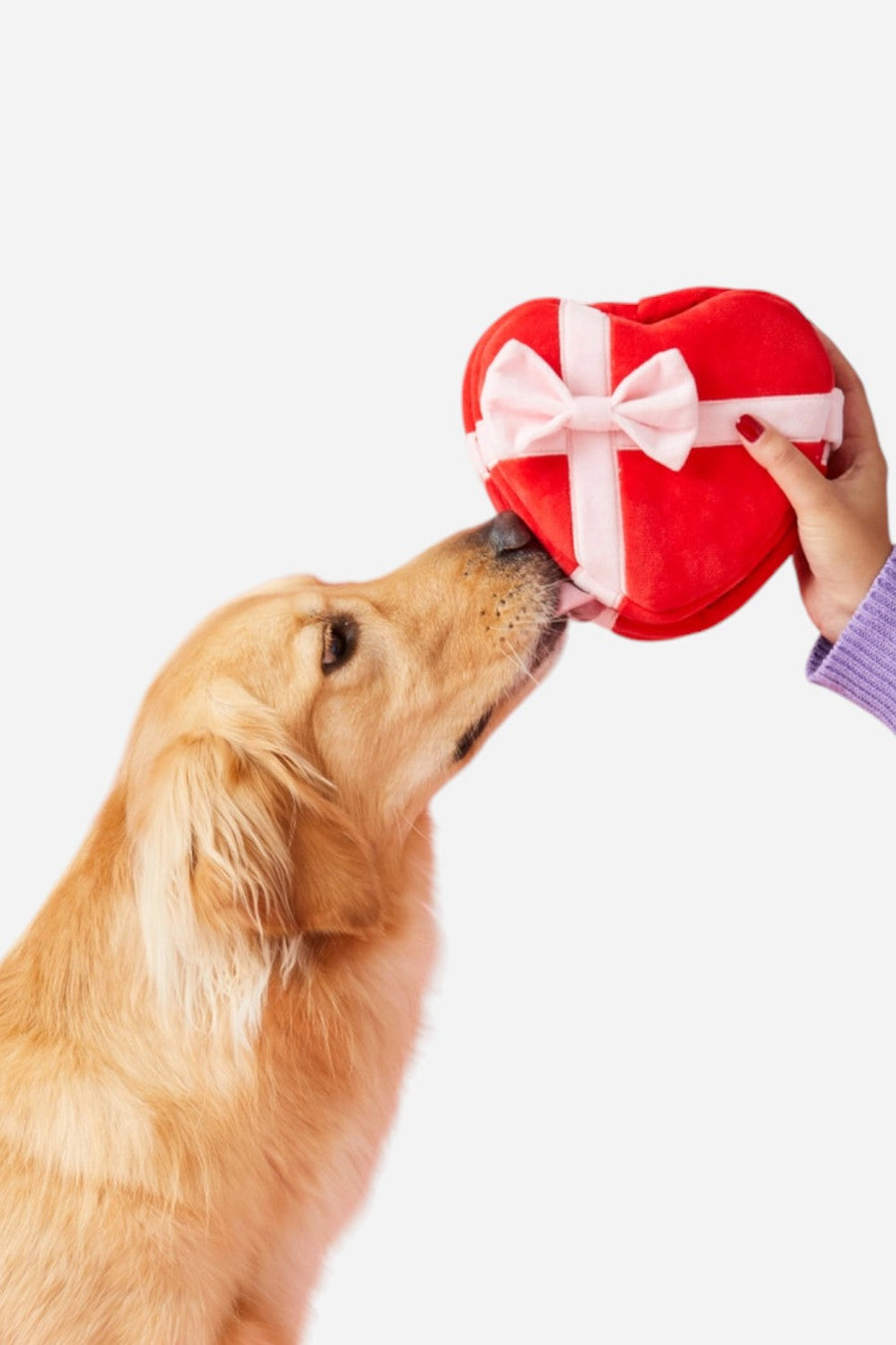 Foggy Dog Be My Valentine Interactive Snuffle Dog Toy – side view