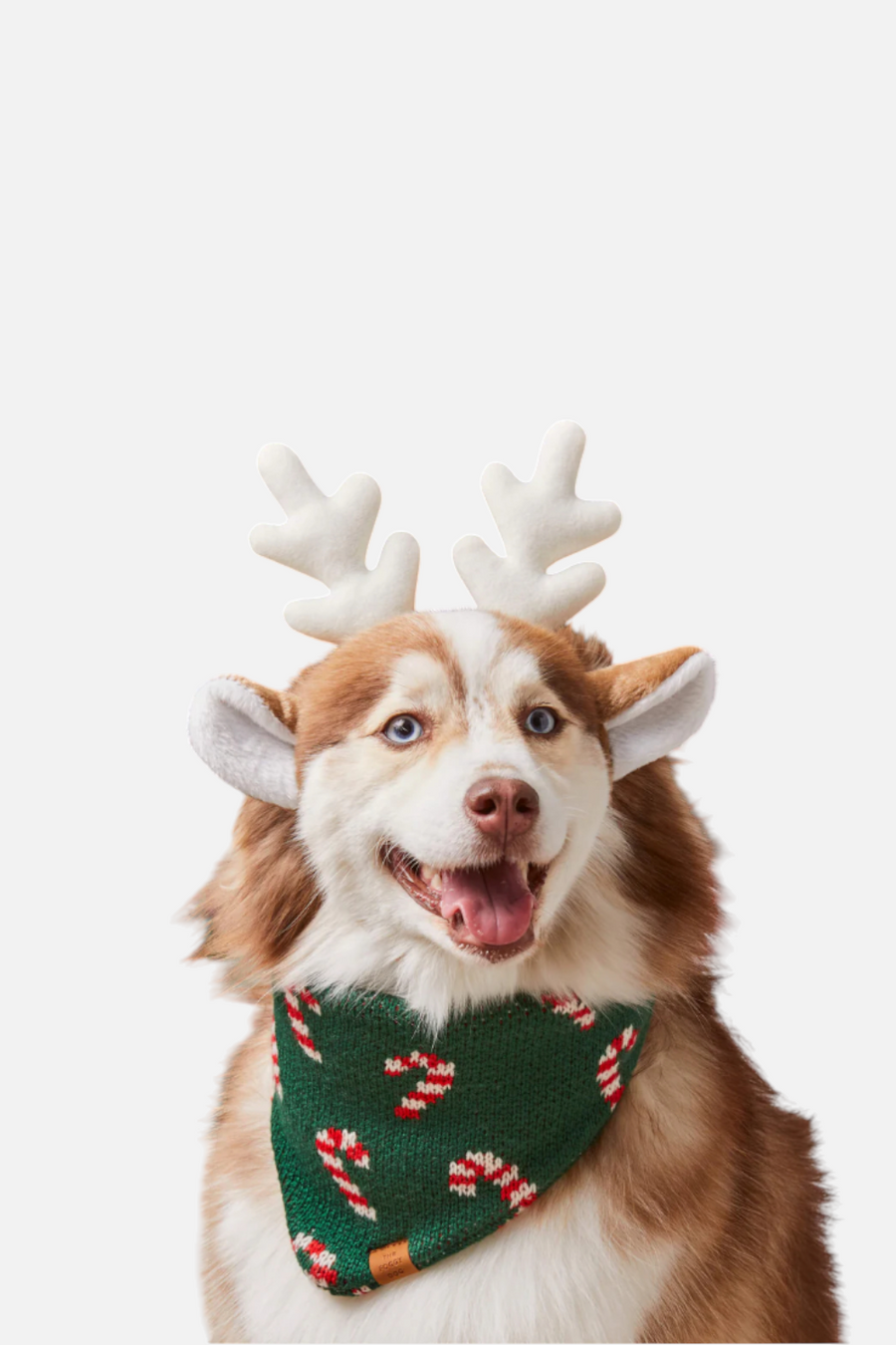 Foggy Dog Candy Cane Knit Bandana – back view