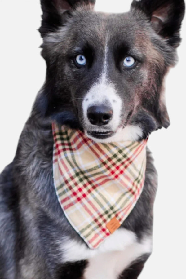 Foggy Dog Eggnog Plaid Flannel Dog Bandana