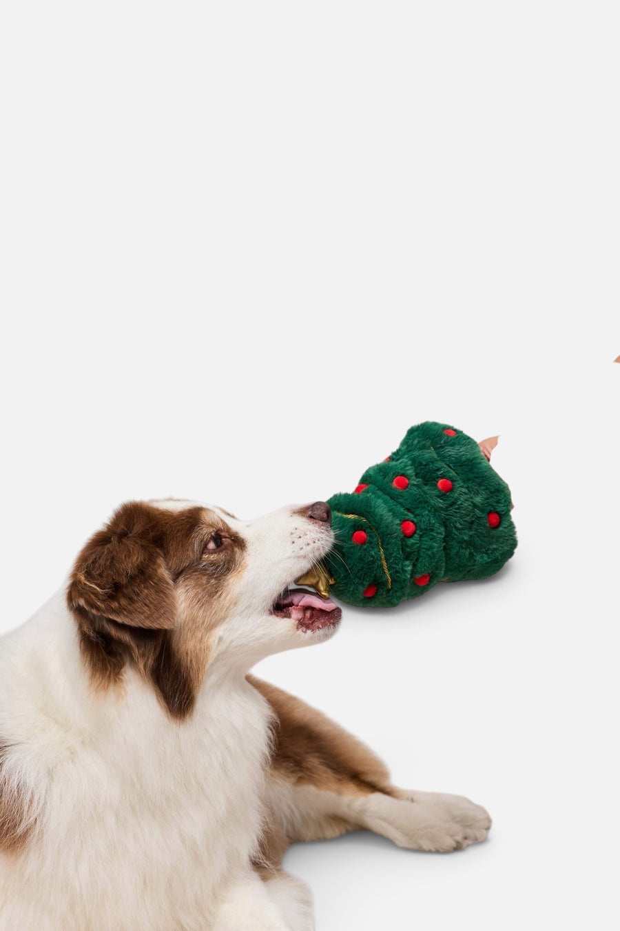 Foggy Dog O Christmas Tree Interactive Snuffle Dog Toy – back view