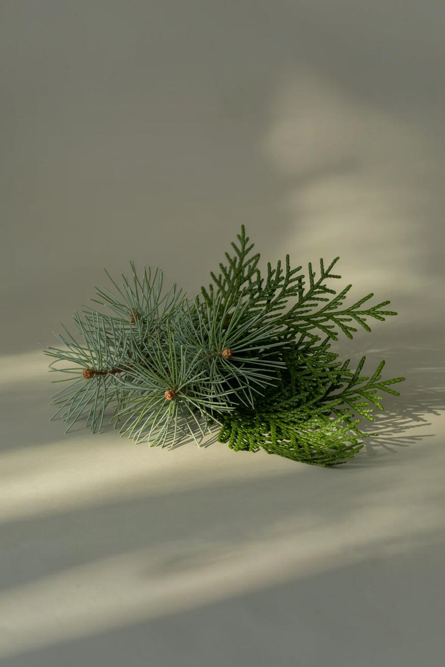 Pura Nest Birchwood Pine Diffuser Refill