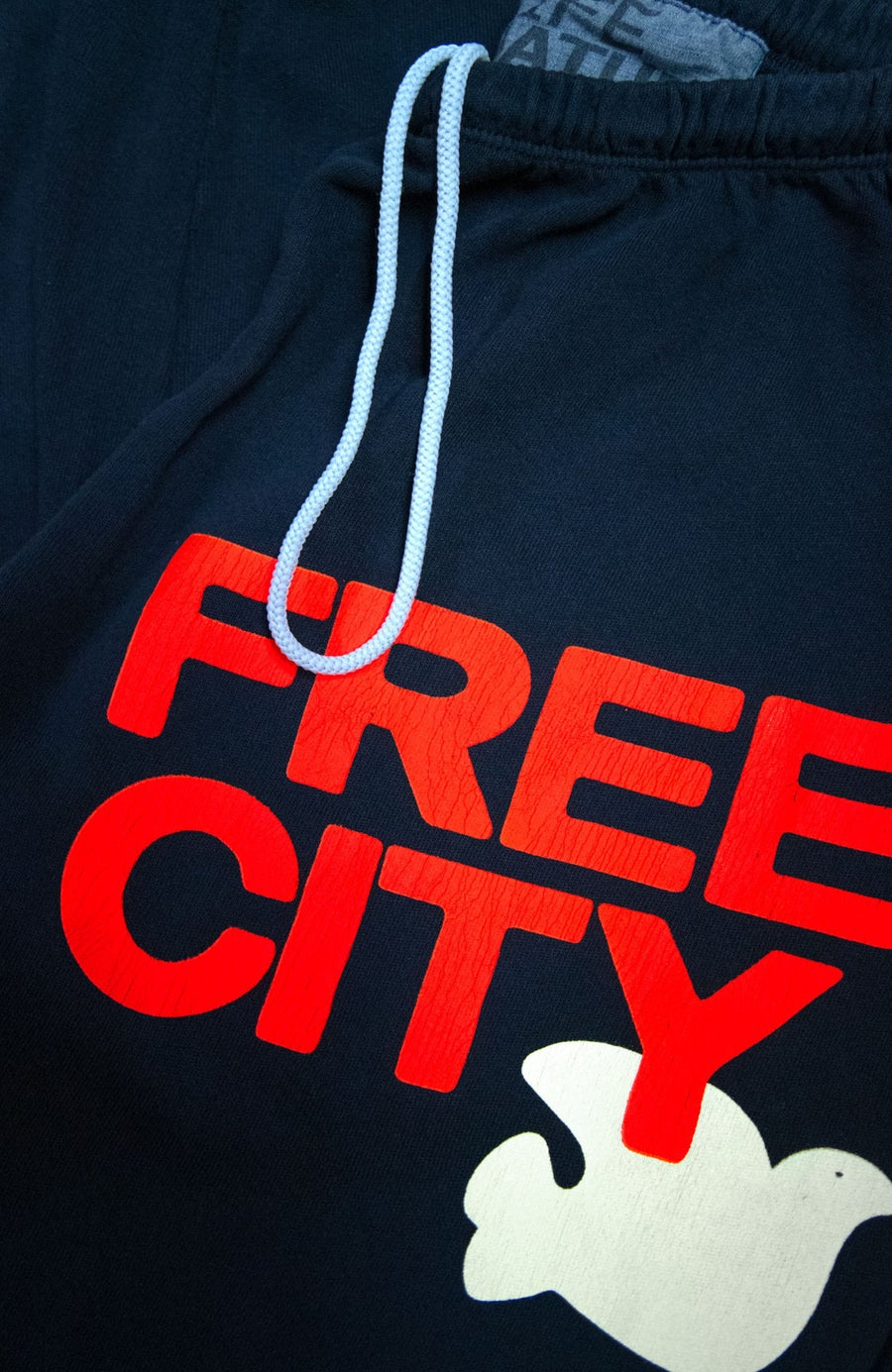 Free City Large Sweatpant in Squidsink Electric – side view