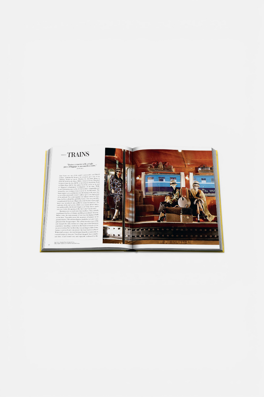 From Louis To Vuitton Print Book – detail