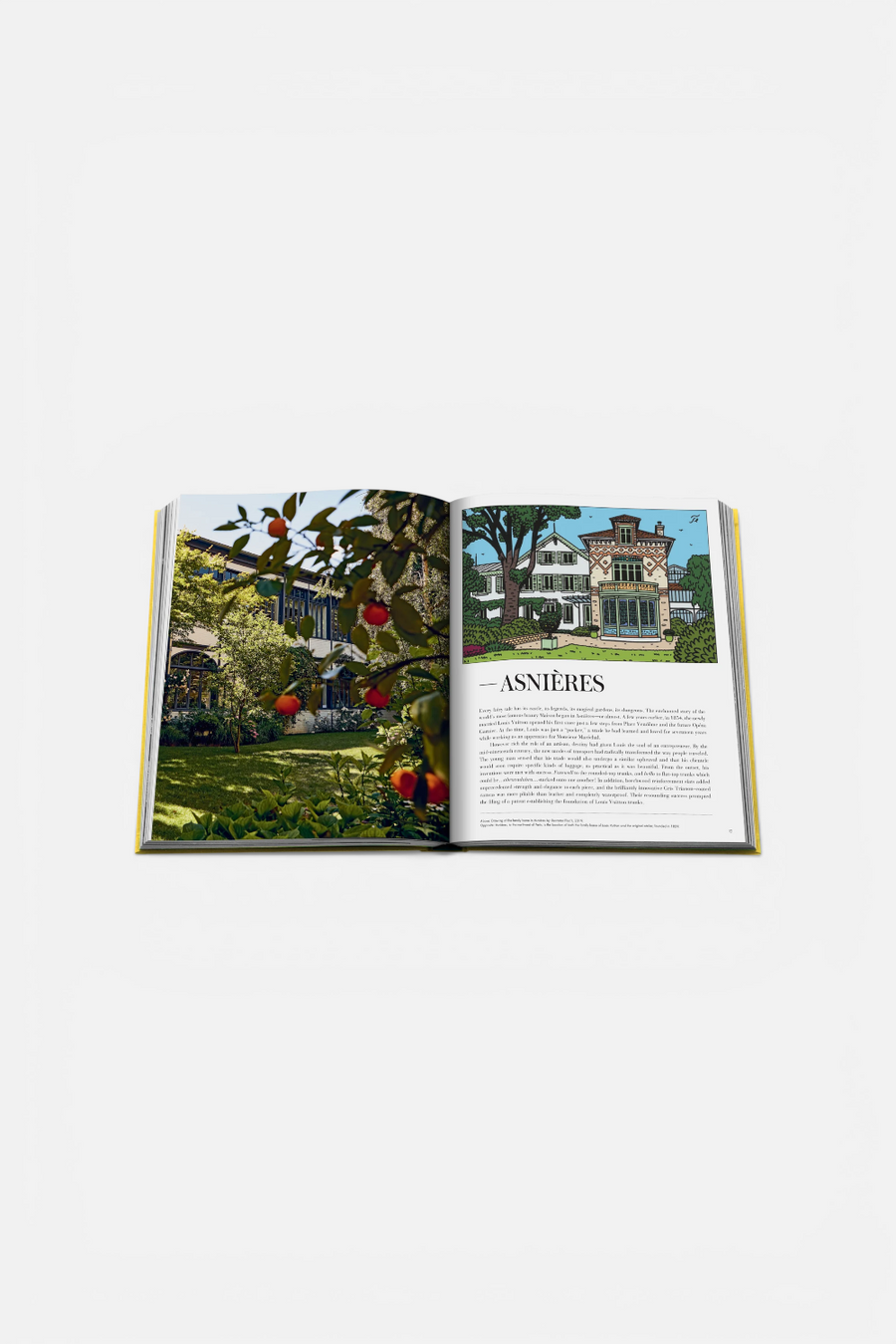 From Louis To Vuitton Print Book – side view