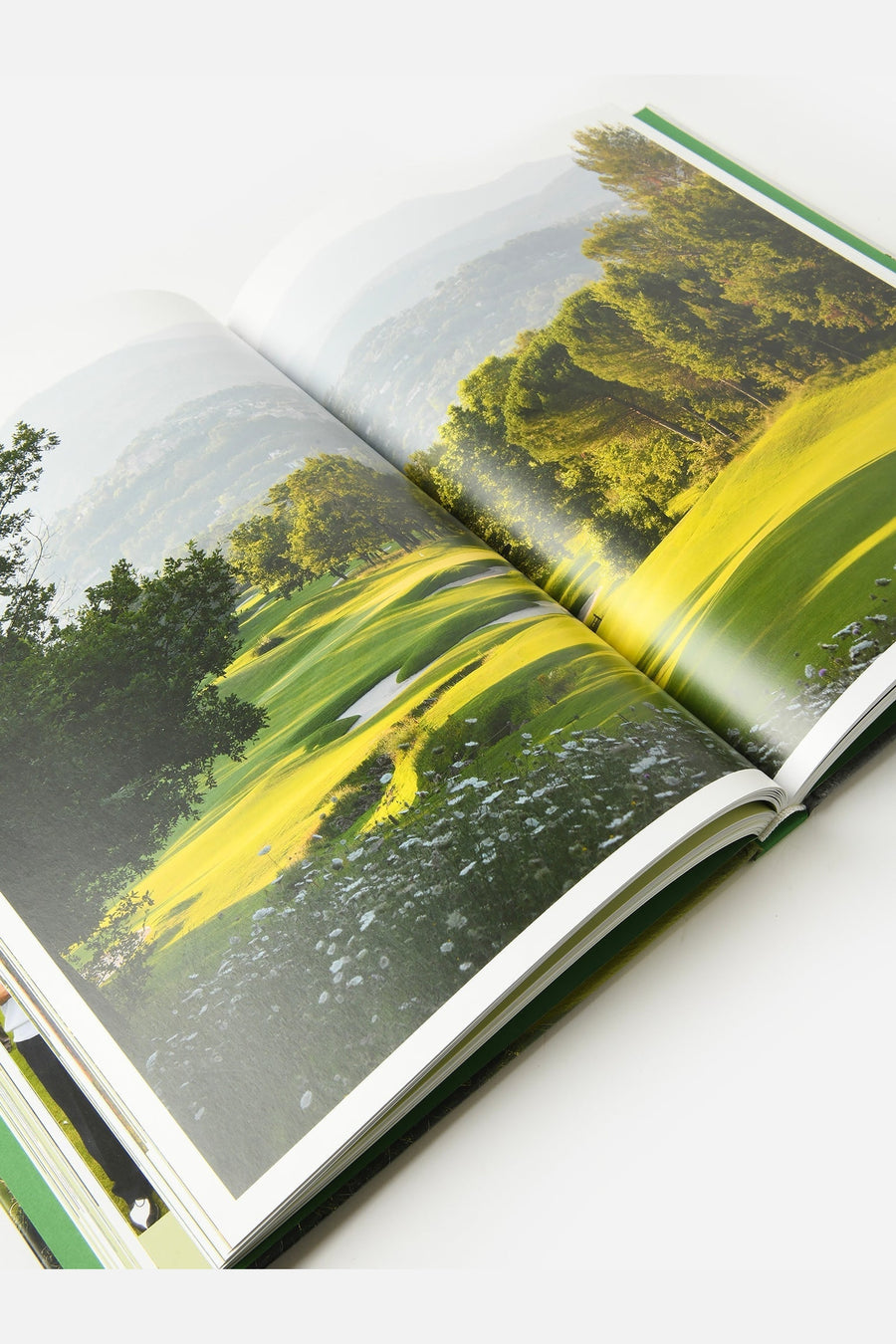 Golf - The Ultimate Book – back view