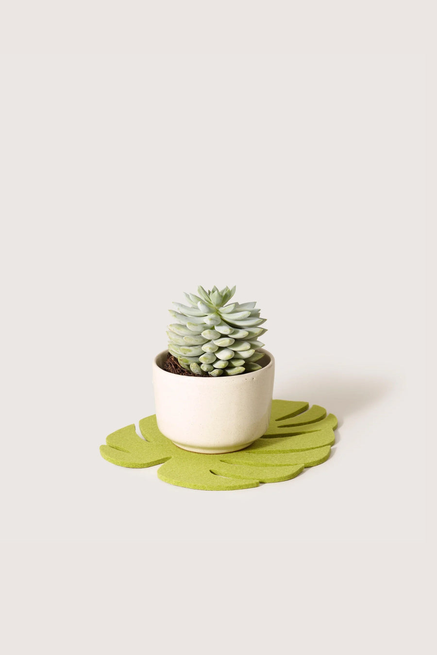 Graf Lantz Monstera Merino Wool Trivet in Pistachio, Medium – alternate