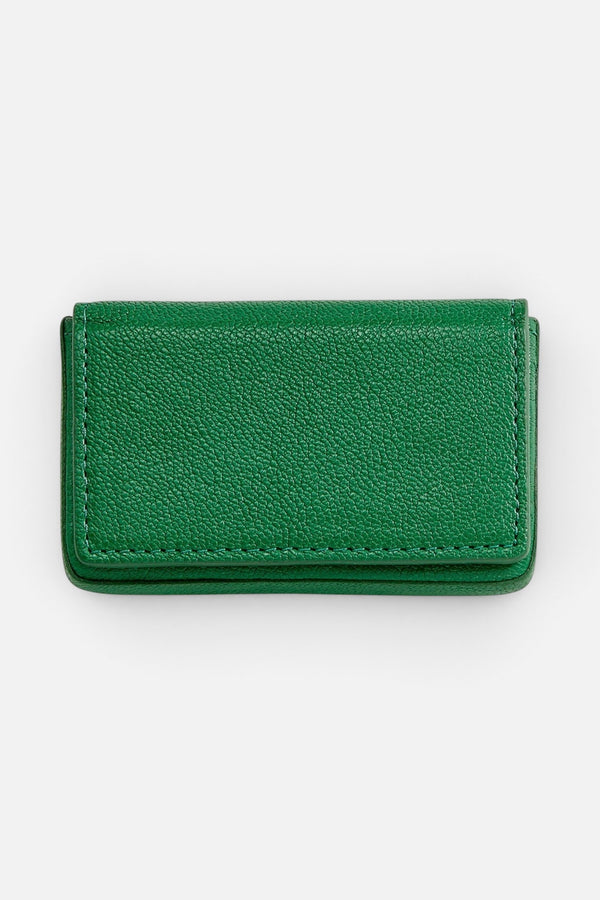 Graphic Image Hard Business Card Case in Green