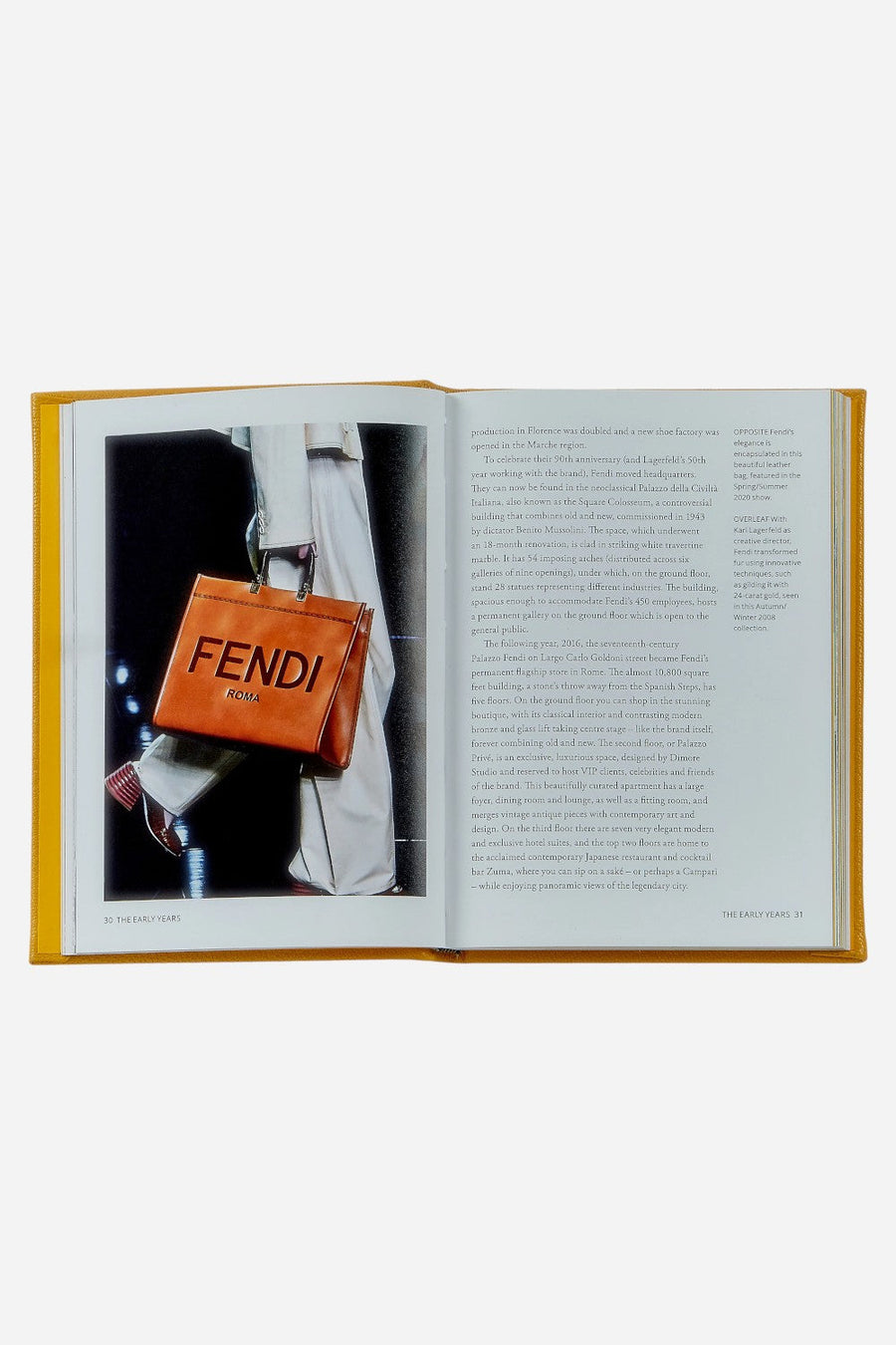 Graphic Image Little Book Of Fendi – detail