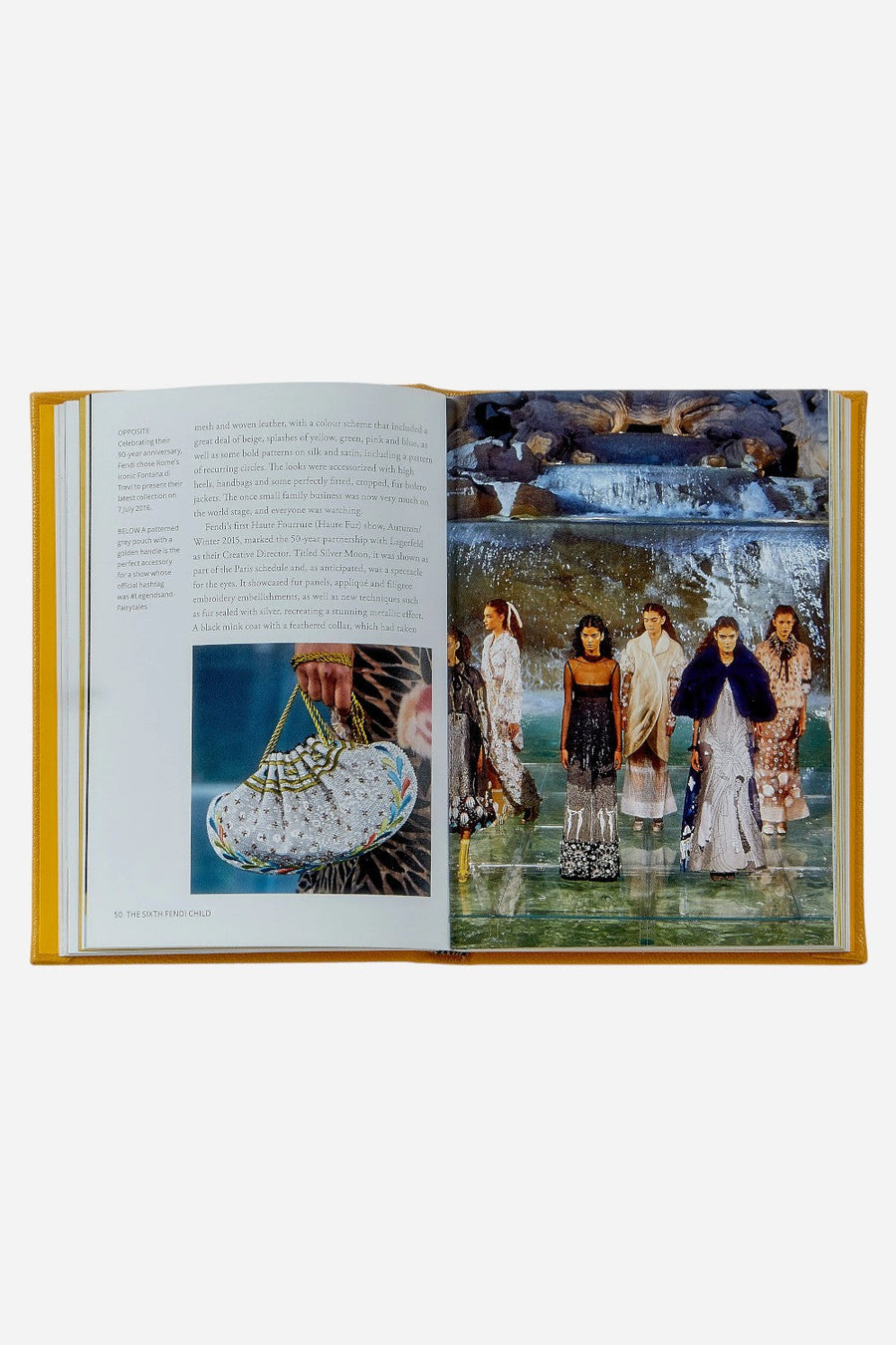 Graphic Image Little Book Of Fendi – flat lay