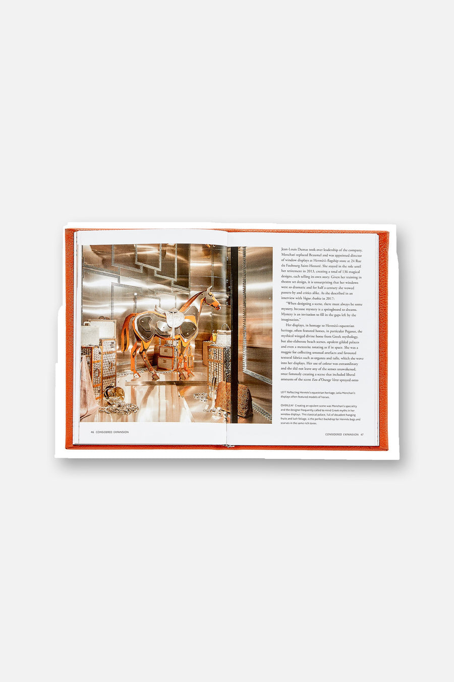 Graphic Image Little Book of Hermès – side view