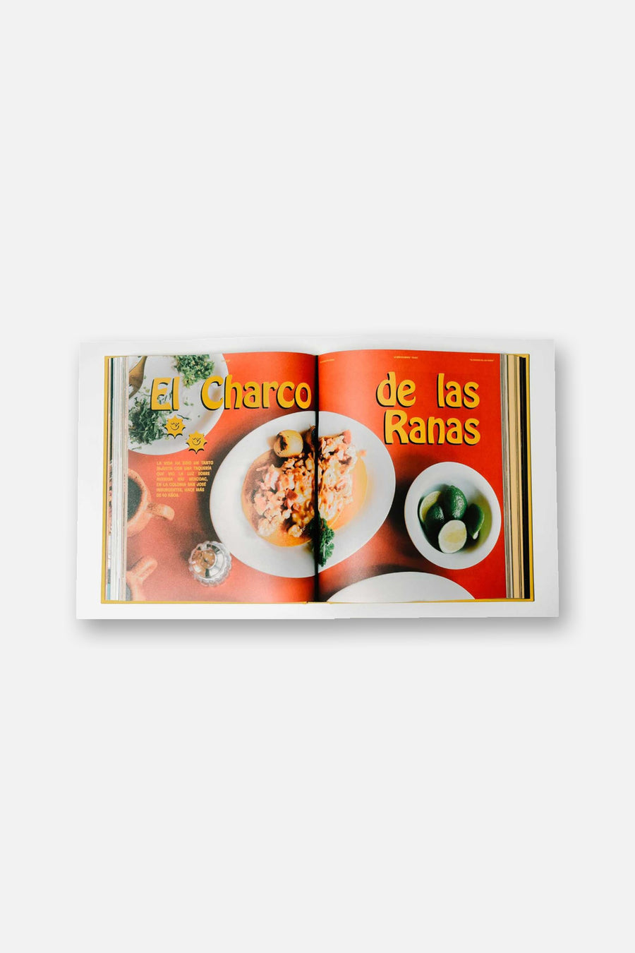 Guía Domingo: Tacos CDMX Book – flat lay