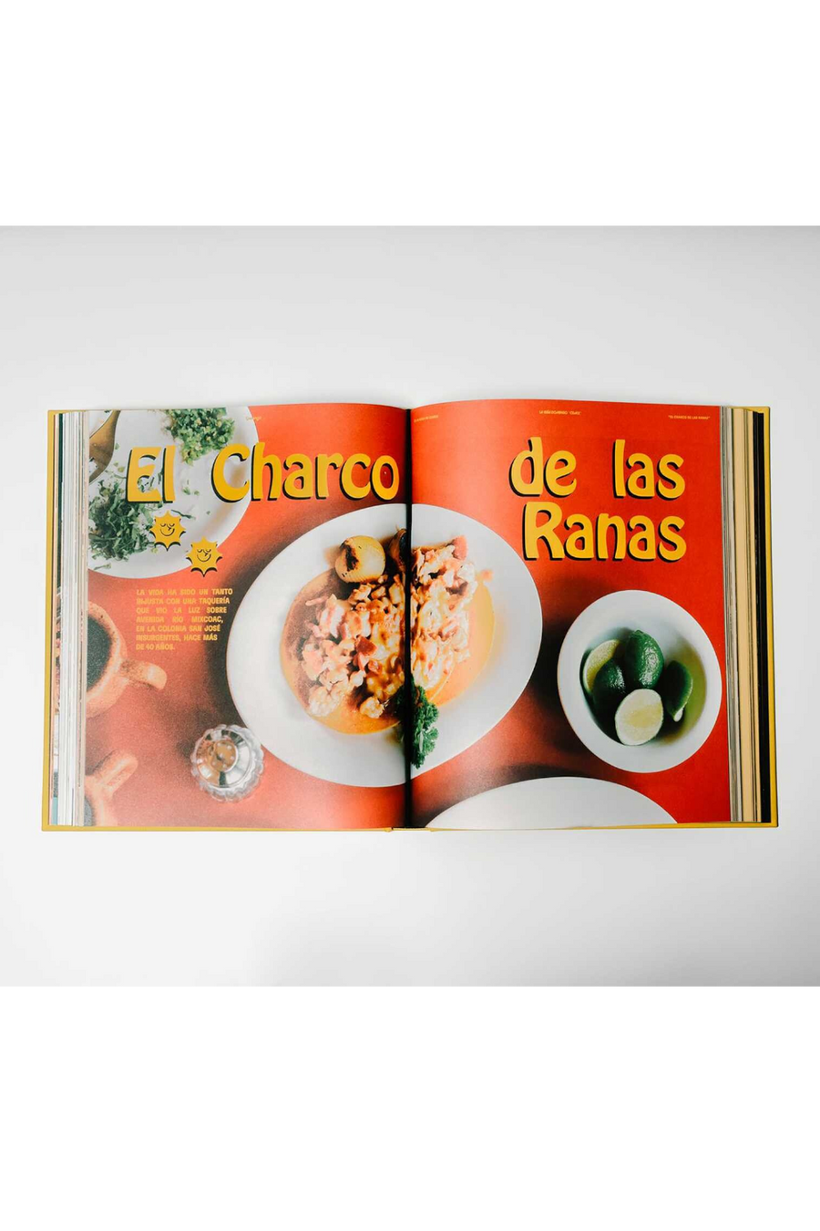 Guía Domingo: Tacos CDMX Book – flat lay