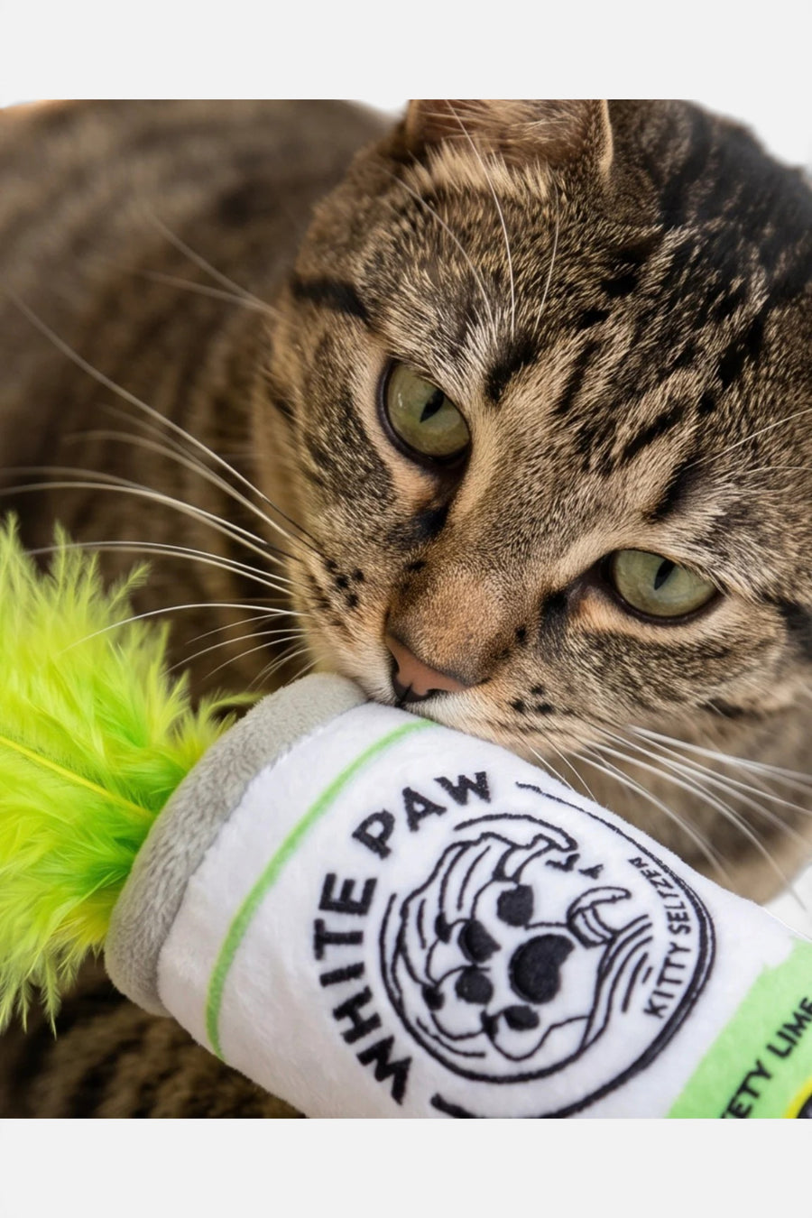 Haute Diggity Dog White Paw Mango & Lime Catnip Toy Set – side view