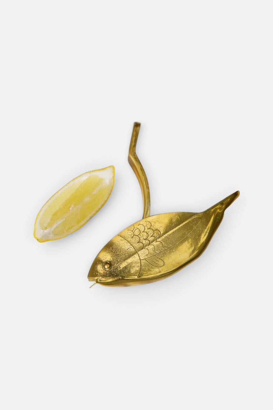 Here's How The Stevie Fish Citrus Juicer – back view