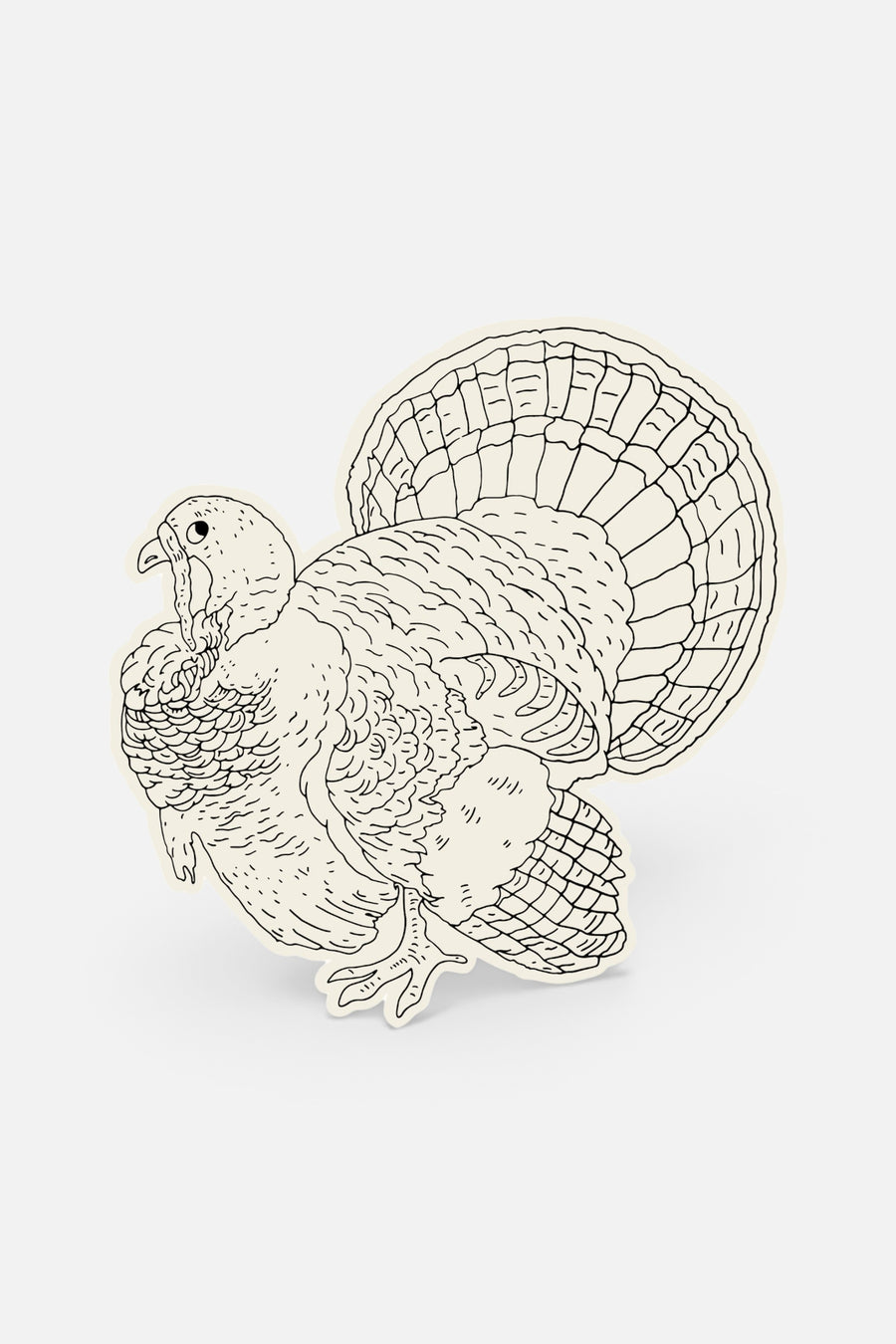 Hester & Cook Die-Cut Coloring Turkey Placemat – front view