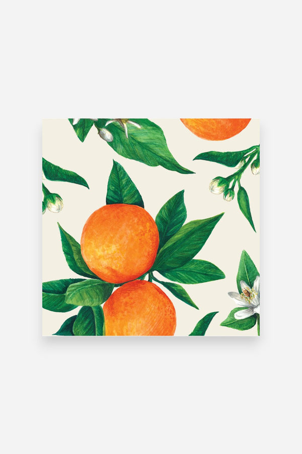 Hester & Cook Orange Orchard Cocktail Napkins