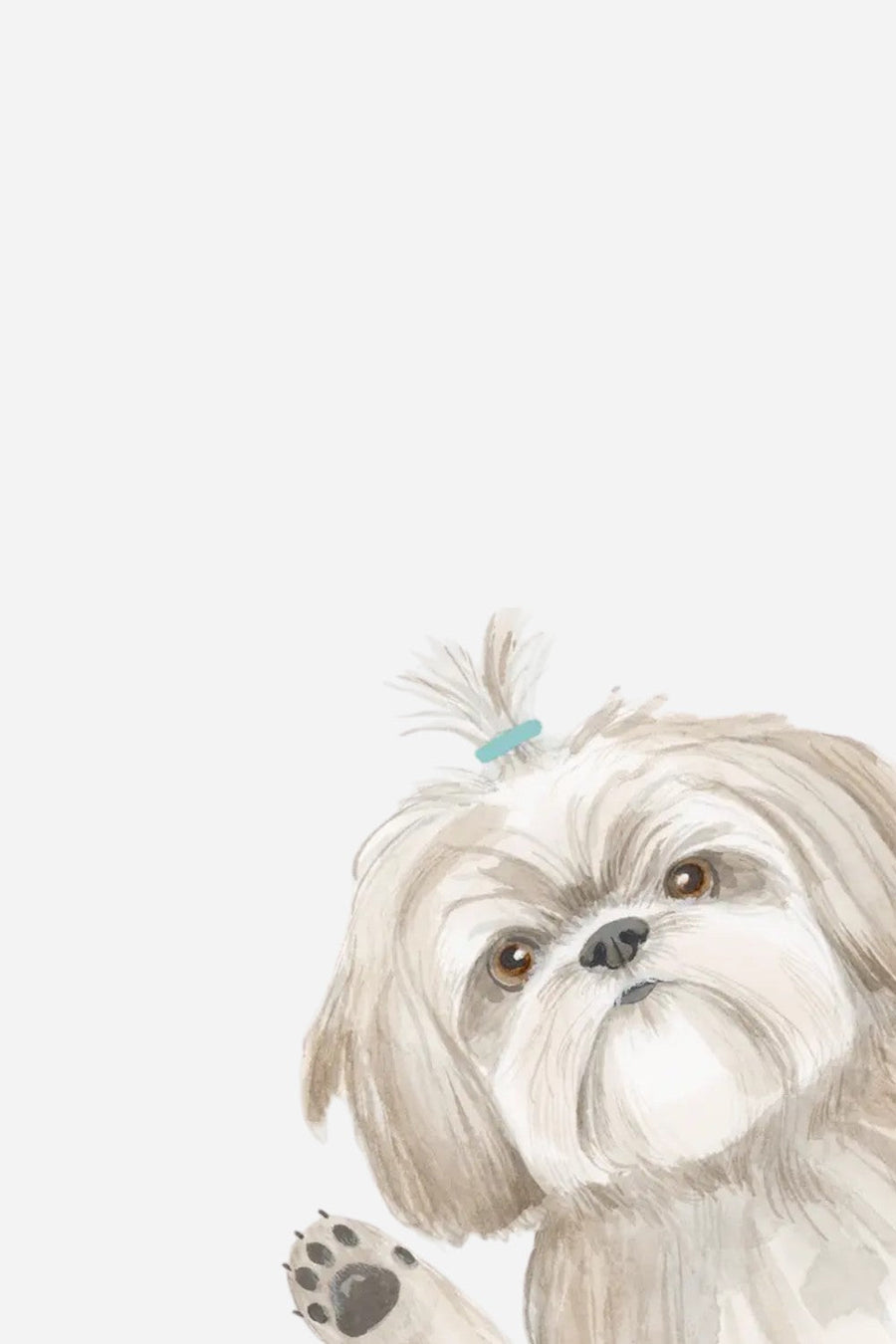 Hope Your Birthday Is The Shihtz Card – back view
