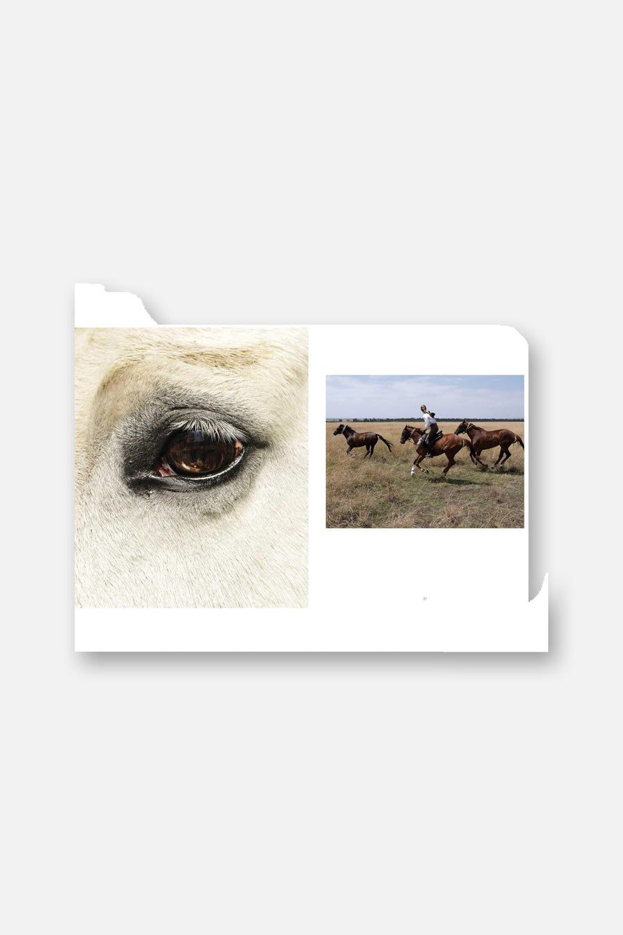Horse Country Coffee Table Book – alternate