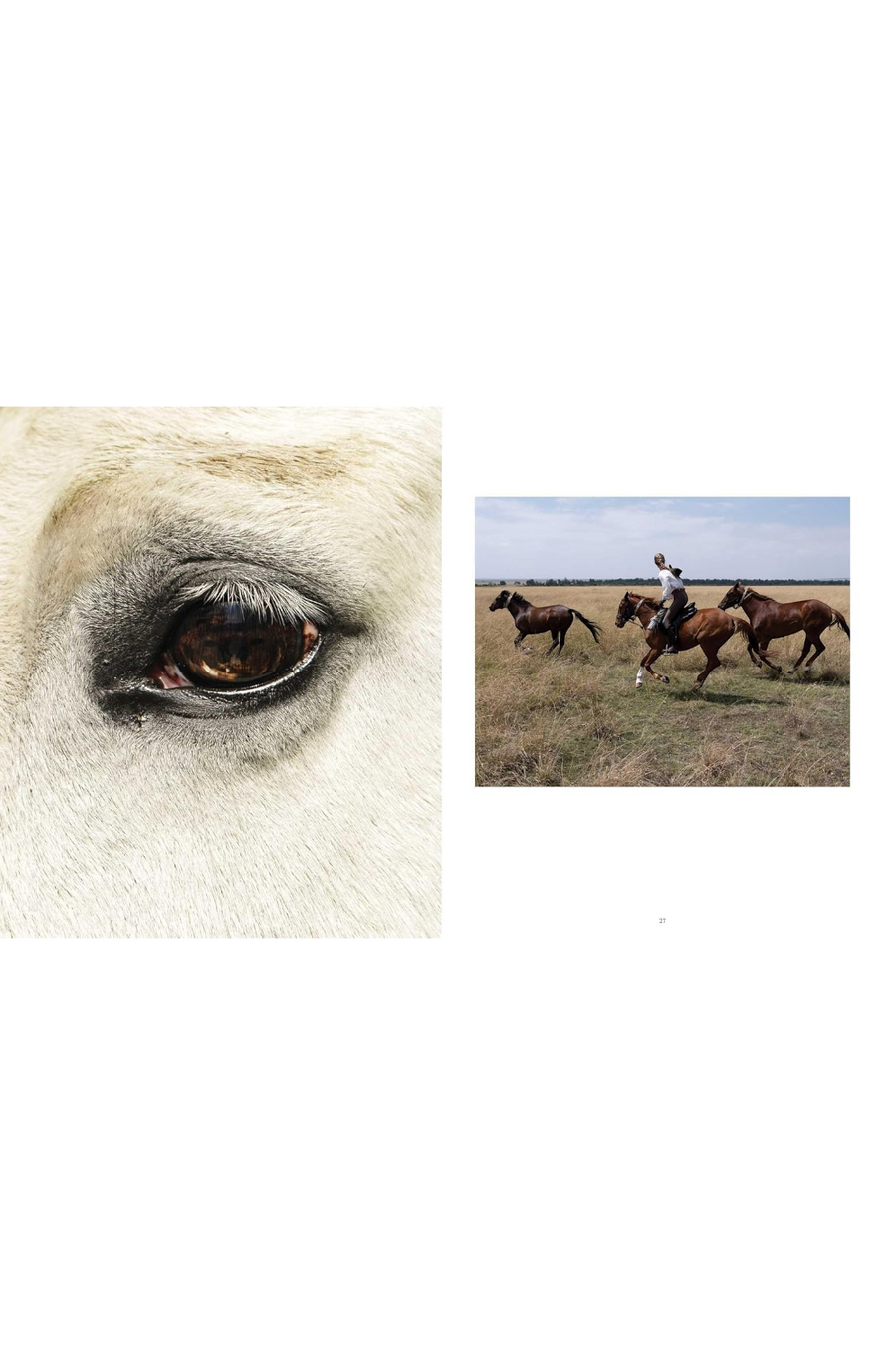 Horse Country Coffee Table Book – alternate