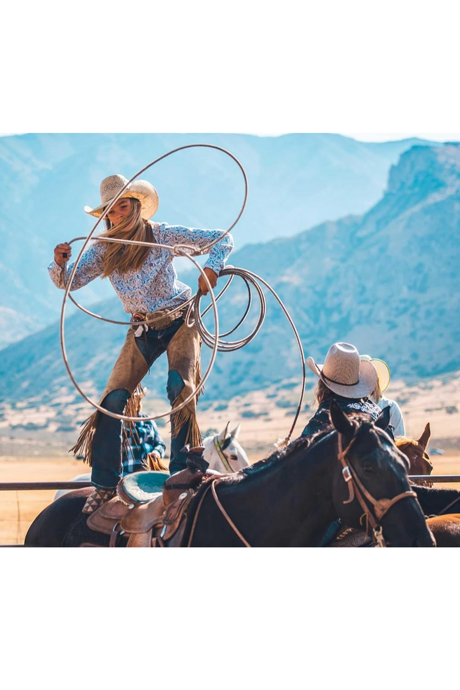 Horse Country Coffee Table Book – alternate