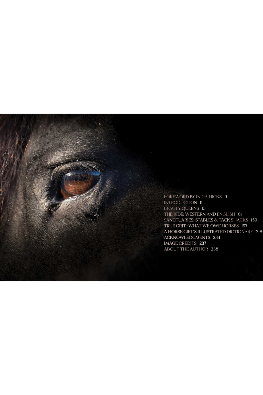 Horse Country Coffee Table Book – back view