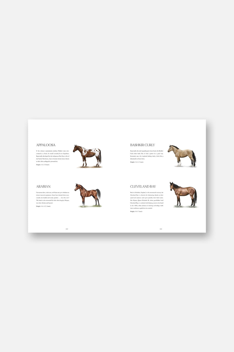 Horse Country Coffee Table Book – detail
