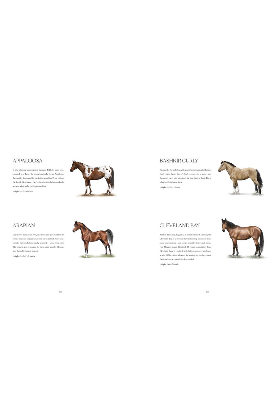 Horse Country Coffee Table Book – detail